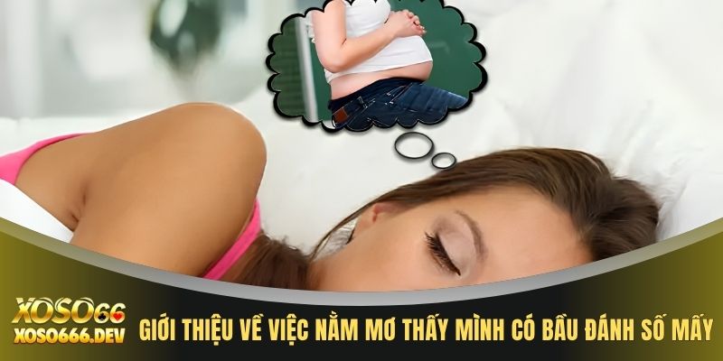 Nằm Mơ Thấy Mình Có Bầu Đánh Số Mấy Để Thắng Lớn Hiện Nay 2 Giới thiệu về việc nằm mơ thấy mình có bầu đánh số mấy